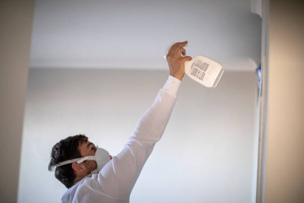 Best Water Damage Restoration  in Box Elder, SD