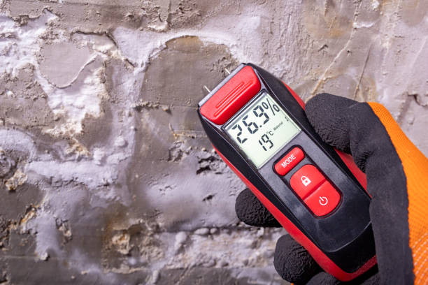 Best Toxic Mold Removal  in Box Elder, SD